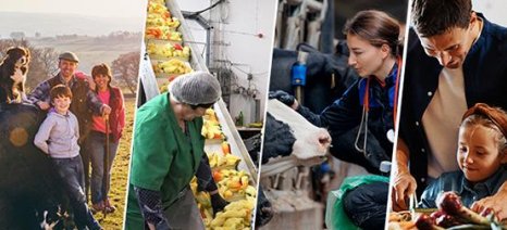 ΛΑΕ-ΟΠΕΚΑ: Χρηματικά Βραβεία σε μαθητές αγροτικών οικογενειών