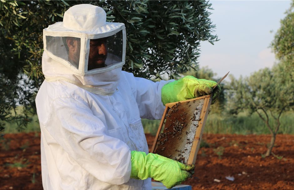 Nέα πλατφόρμα ιχνηλασιμότητας για το μέλι, πρόστιμα έως 10.000 ευρώ