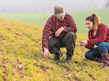 Αναγεννητική γεωργία: Μεγαλύτερη απόδοση, μικρότερα έξοδα