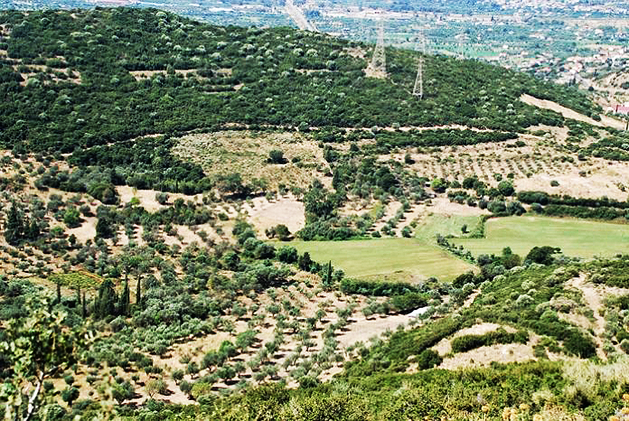 Παράταση έως 11/09/26 για την εξαγορά καταπατημένων εκτάσεων