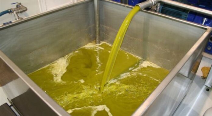 Περίοδος ανάσας ή κατάρρευσης για την ελληνική ελαιοκαλλιέργεια;