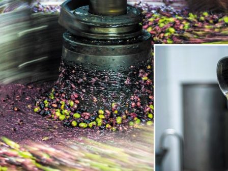 Προβληματισμοί για το μέλλον των ελαιοτριβείων