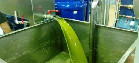 Πρόσκληση σε δημοπρασία ελαιολάδου από τον Αγροτικό Συνεταιρισμό Αιγιών Λακωνίας