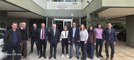 Ο Ανδριανός στο Ινστιτούτο Ελιάς, Υποτροπικών Φυτών και Αμπέλου