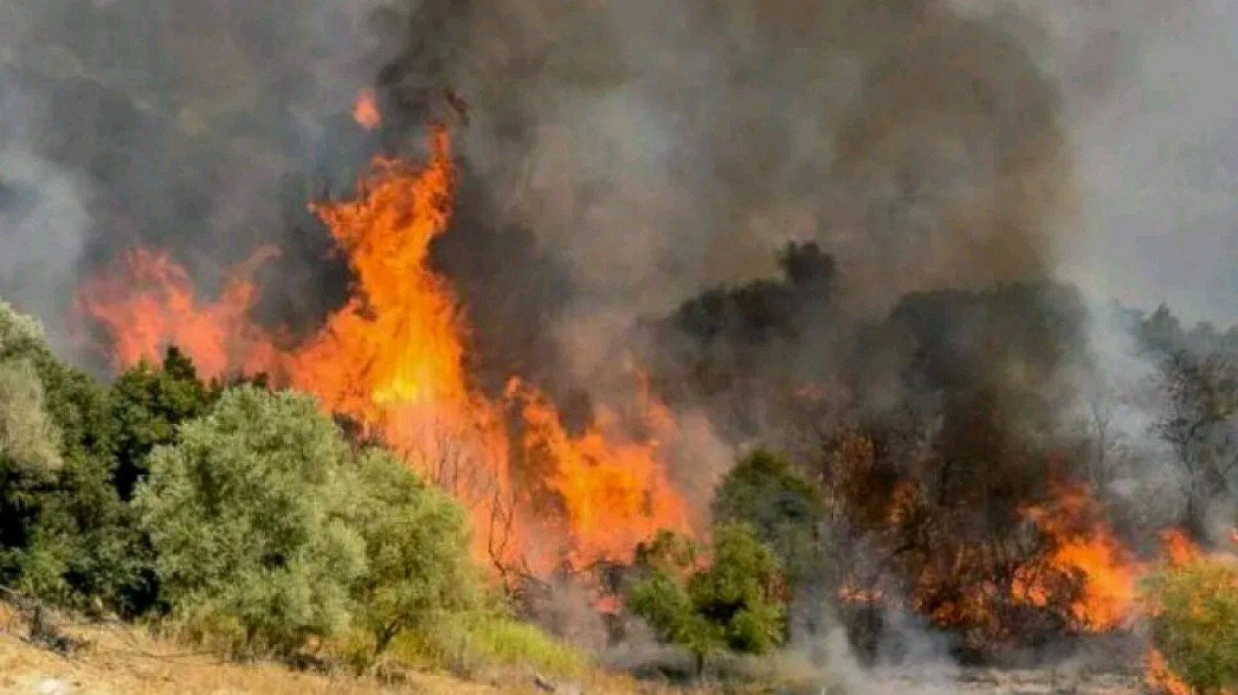 Πυροσβεστική: Στις 32 οι πυρκαγιές το τελευταίο 24ωρο σε όλη τη χώρα