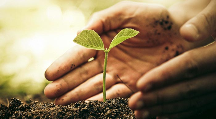 Γεωπόνοι: Ο ρόλος των Δήμων στην ανακύκλωση συσκευασιών φυτοφαρμάκων 