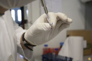 Χαμηλού κόστους αισθητήρες επιτόπιου ελέγχου ποιότητας ελαιολάδου 