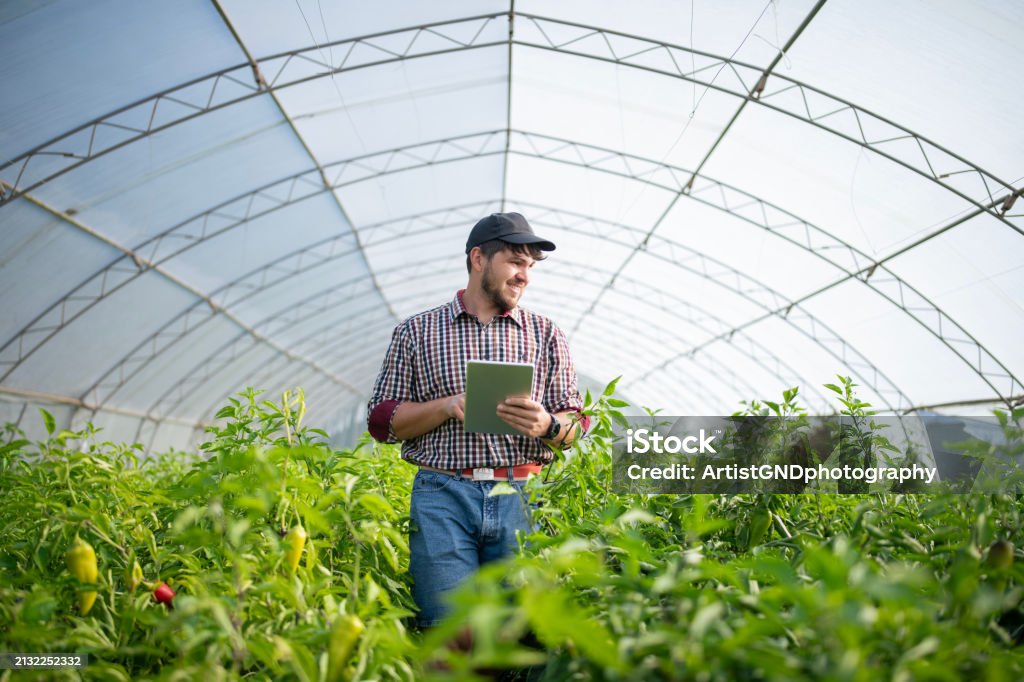 Σχέδια Βελτίωσης για θερμοκήπια: Έως 70%  ενίσχυση για νέους γεωργούς και μικρά νησιά του Αιγαίου
