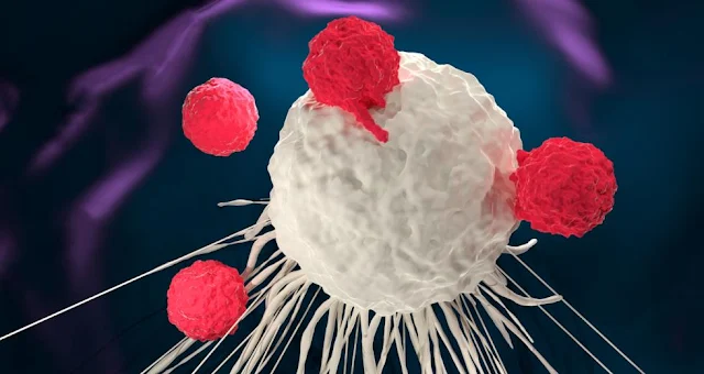 Κύτταρο του ανοσοποιητικού εξοντώνει όλα τα καρκινικά κύτταρα