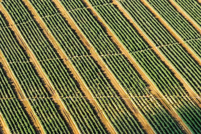 Στη Δικαιοσύνη καταγγελίες για ιδιωτικές εταιρείες πιστοποίησης βιολογικών προϊόντων