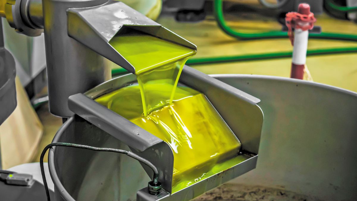 Σύστημα διαχείρισης ESG για ελαιοτριβεία-ελαιοκομία