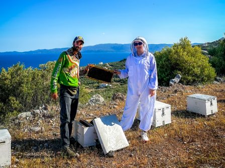 Παγκόσμια Ημέρα Μέλισσας: Νεαρό ζευγάρι εγκατέλειψε την Αθήνα και έγιναν μελισσοκόμοι  