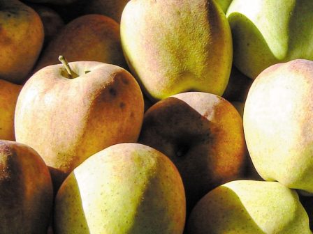 Αρκαδία: Αύξηση αναγνωρισιμότητας για τα μήλα Πιλαφά