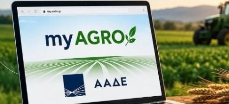 ΑΑΔΕ: Οδηγίες για την διαδικασία εξουσιοδότησης για την υποβολή της Ενιαίας Αίτησης Ενίσχυσης 