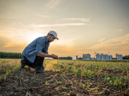 Διευκρινίσεις για τη χορήγηση βεβαιώσεων Μητρώου Αγροτών