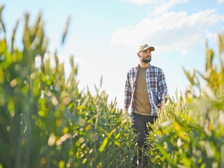 Νέοι Γεωργοί: Αναγκαία ανανέωση της ελληνικής υπαίθρου με προϋποθέσεις βιωσιμότητας