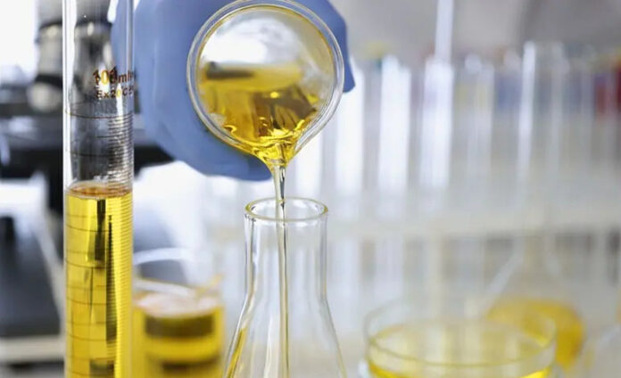 Πανεπιστήμιο του Χονγκ Κονγκ: Έρευνα για αντικαρκινική δράση του ελαιολάδου