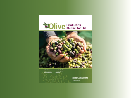 Οδηγός παραγωγής ποιοτικού ελαιολάδου