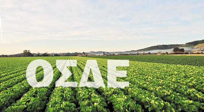 ΑΑΔΕ: Οδηγός για διορθώσεις στο ΟΣΔΕ έως 27/2