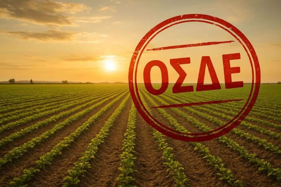 Λήγει η προθεσμία για διορθώσεις-αλλαγές στα ΟΣΔΕ 2024 και 2025 