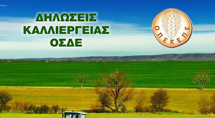 ΟΣΔΕ 2025: Εκκίνηση για την υποβολή δηλώσεων