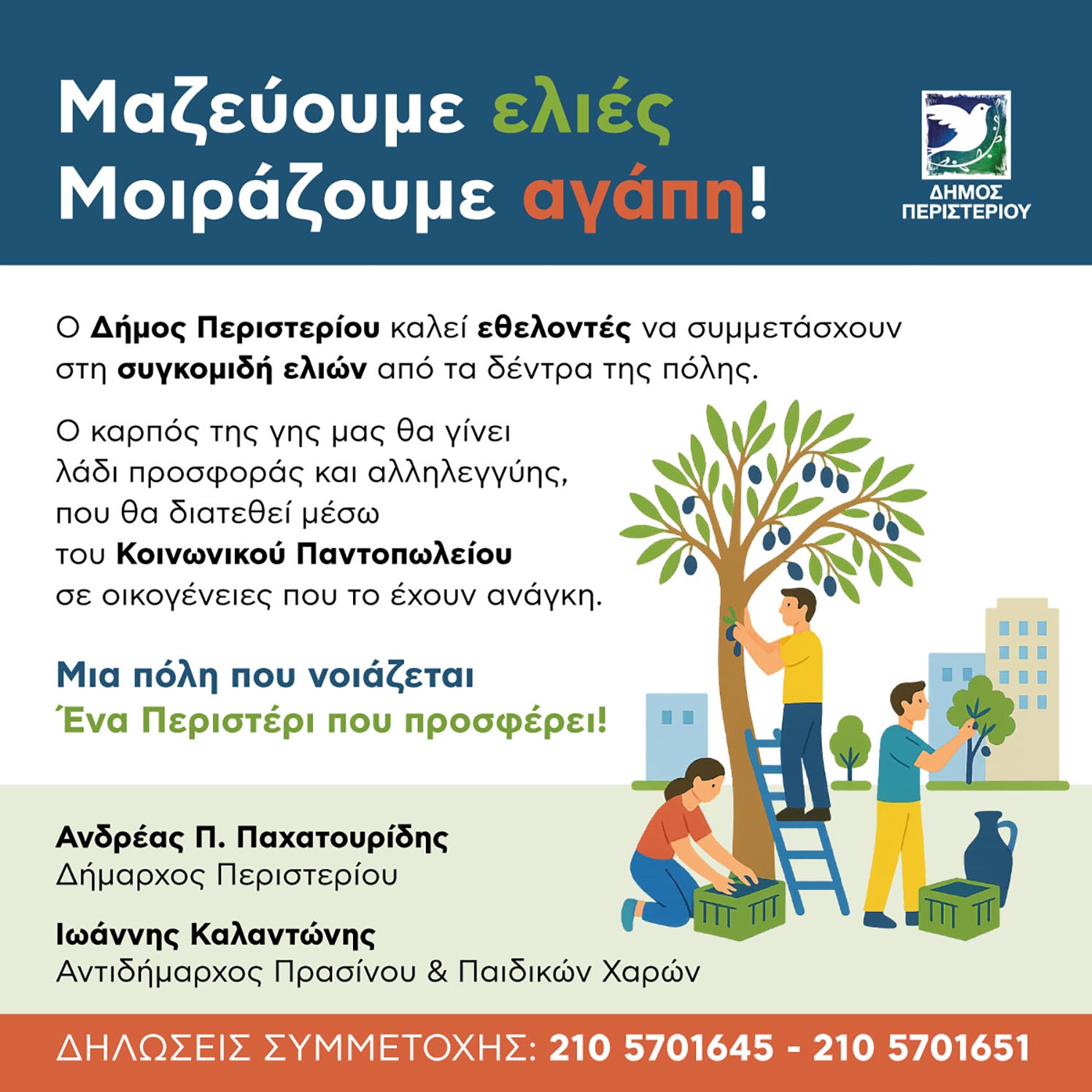 Δήμοι μαζεύουν ελιές για το λάδι αλληλεγγύης