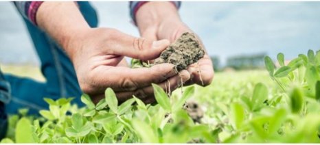 Υφαλμύρωση: Πώς αντιμετωπίζονται οι επιπτώσεις στην παραγωγικότητα