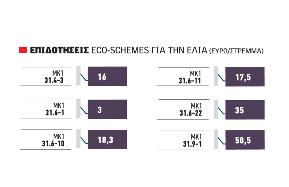 Τα 70 ευρώ/στρέμμα από οικοσχήματα δίνει φέτος η ελαιοκαλλιέργεια