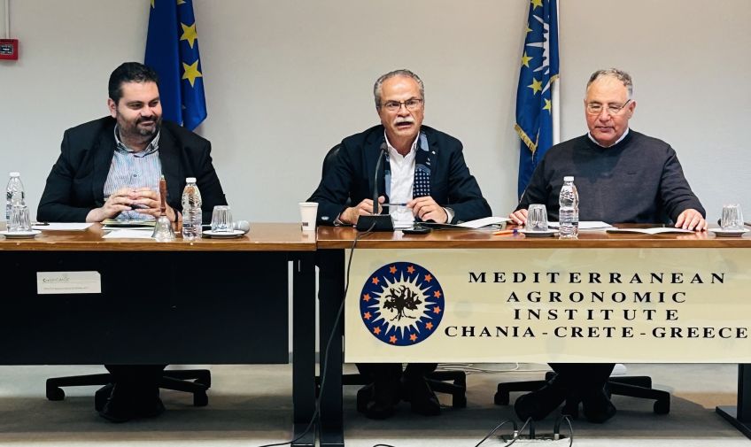 Ημερίδα για τον Ελαιοτουρισμό