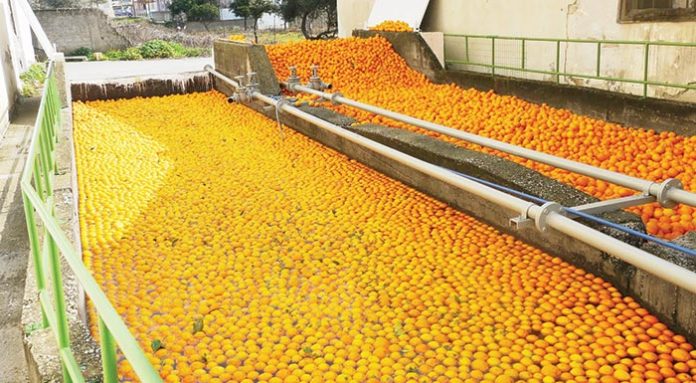 Αναπροσαρμογή προς τα πάνω για την τιμή της Συνδεδεμένης στο πορτοκάλι χυμοποίησης