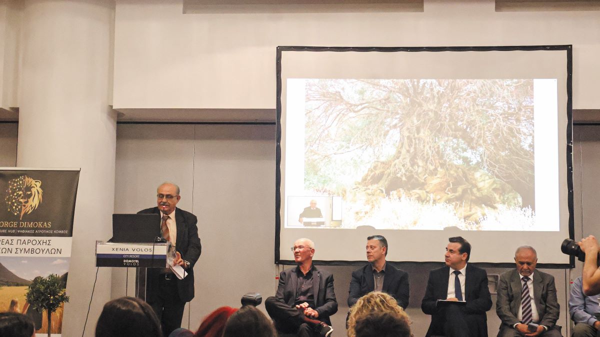 Ημερίδα: Η ελιά έχει μέλλον στην Ελλάδα