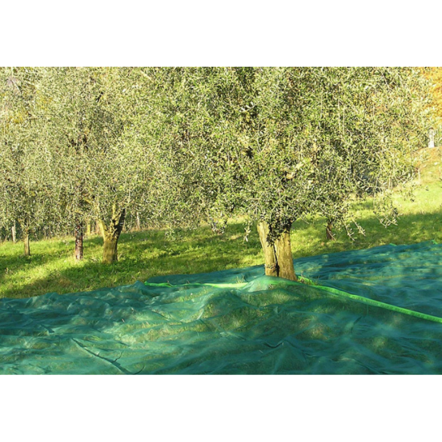 Έκλεψαν ελαιόπανα αλλά ήταν παγιδευμένα και συνελήφθησαν