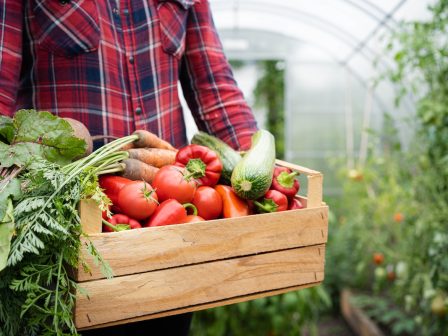 ΦΕΚ-Βιολογική Γεωργία: 1η τροποποίηση Κανονισμού–Τί αλλάζει για τους νεοεισερχόμενους