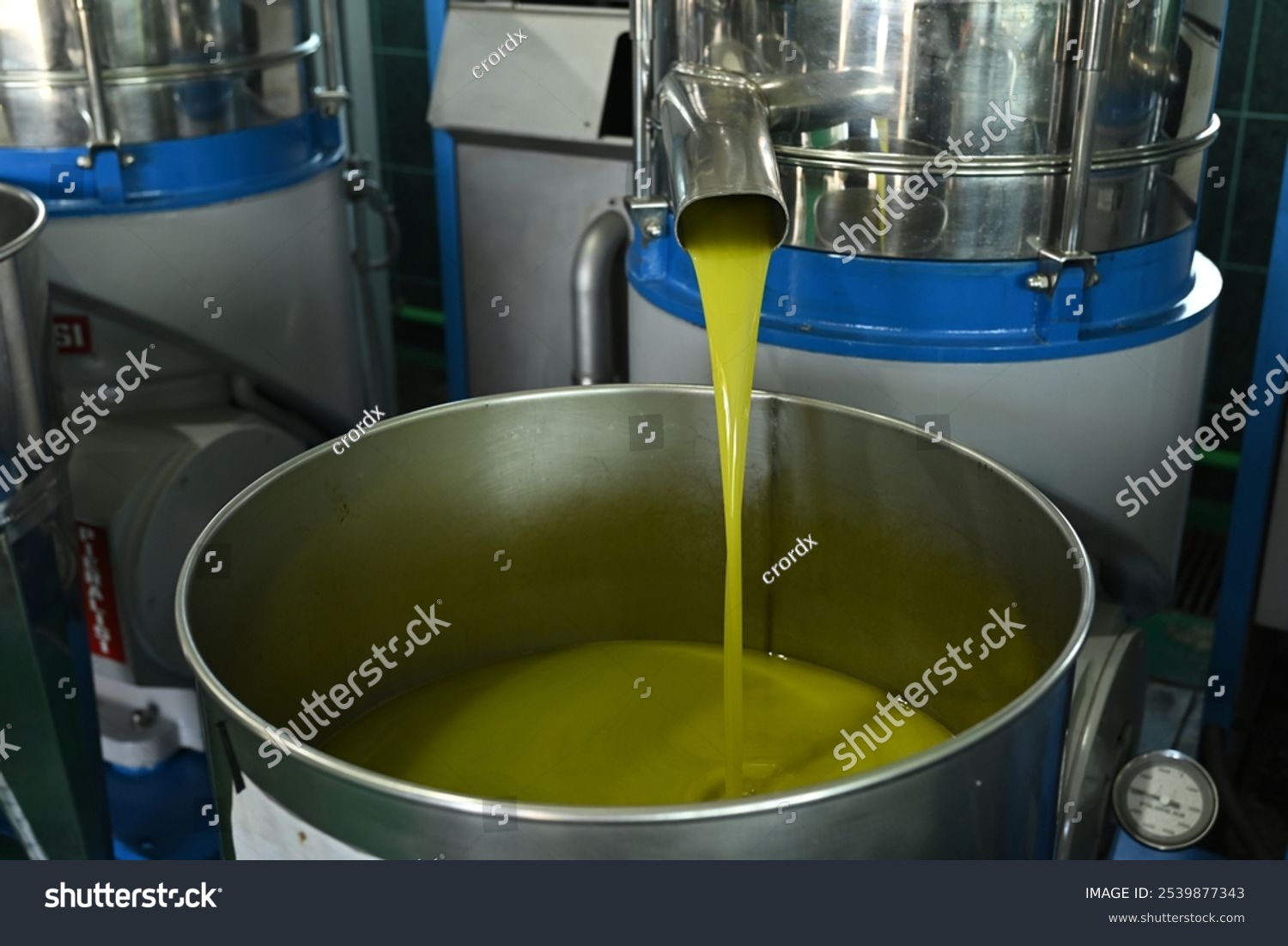 Πλησιάζει τα 6 ευρώ το ελαιόλαδο Λακωνίας