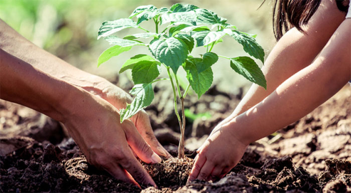 Πενταπλάσιες Αιτήσεις στο Πρόγραμμα Αγροτικών Συνεργασιών
