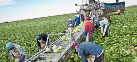 Τροποποίηση θεσμικού πλαισίου σύστασης Ομάδων και Οργανώσεων Παραγωγών