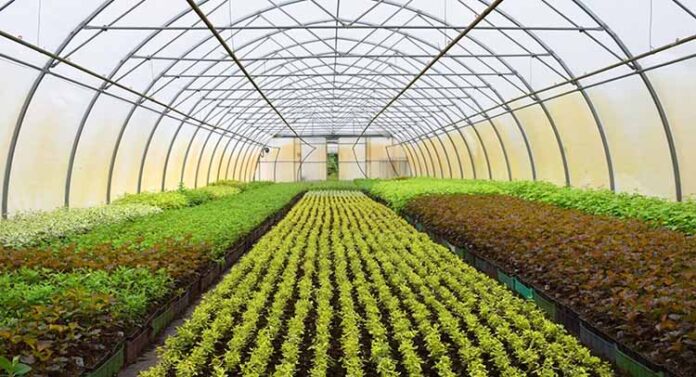 «Κόμβος Θερμοκηπίων»-Οργανωμένη υποστήριξη επενδύσεων σε θερμοκήπια