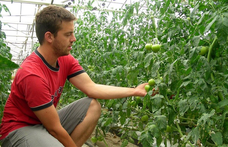 Με ΙΚΕ και κεφάλαιο, όλοι διεκδικούν έως 70% στήριξη για θερμοκήπιο