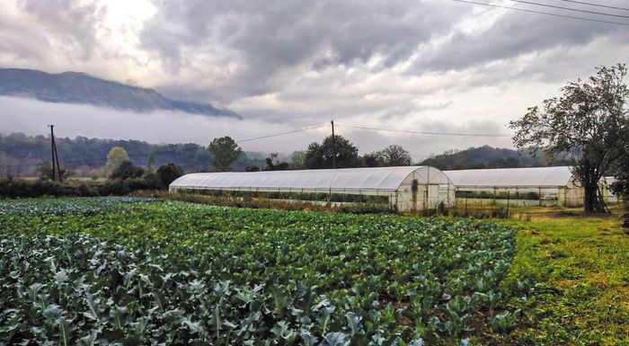 ΕΛΓΟ-ΔΗΜΗΤΡΑ: Δωρεάν ταχύρρυθμο σεμινάριο για τεχνικούς Θερμοκηπίων