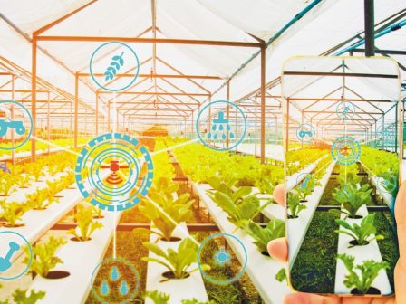 Έως 70% η ενίσχυση για θερμοκήπια και τολ από νέους γεωργούς