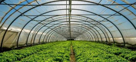 Έως 8 Οκτωβρίου οι αιτήσεις ενίσχυσης για θερμοκήπια