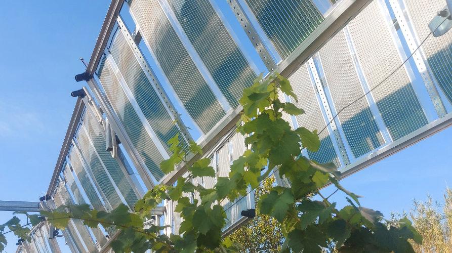 Φωτοβολταϊκά 3ης γενιάς  για τον Αγροτικό Τομέα 