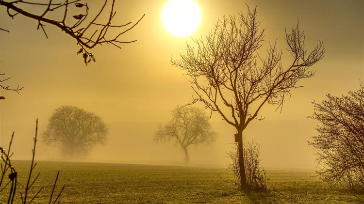 ΟΣΔΕ 2024: Αδιέξοδο και ανησυχίες για καθυστερήσεις πληρωμών