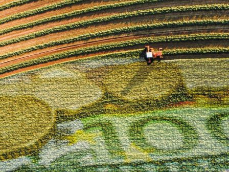 ΟΠΕΚΕΠΕ: Πρώτα οι έλεγχοι, μετά οι πληρωμές