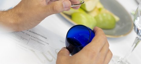 Αξιολόγηση oliValue για αύξηση αξίας του Ελληνικού εξαιρετικού παρθένου ελαιολάδου