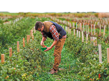 Η αγορά βιολογικών προϊόντων θα τριπλασιαστεί 