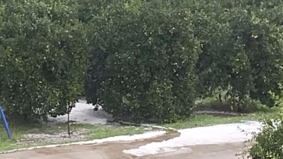 Αργολίδα: Το χαλάζι χτύπησε τις Ναβαλίνες