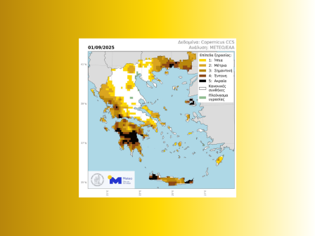 Έντονη ξηρασία ενόψει Ελαιοσυγκομιδής