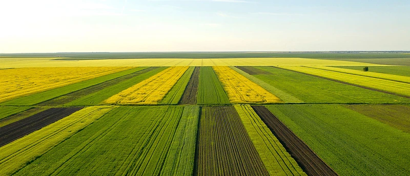 Υποβολή υπεύθυνων δηλώσεων για κυριότητα αγροτεμαχίων μέσω ΚΑΕΚ