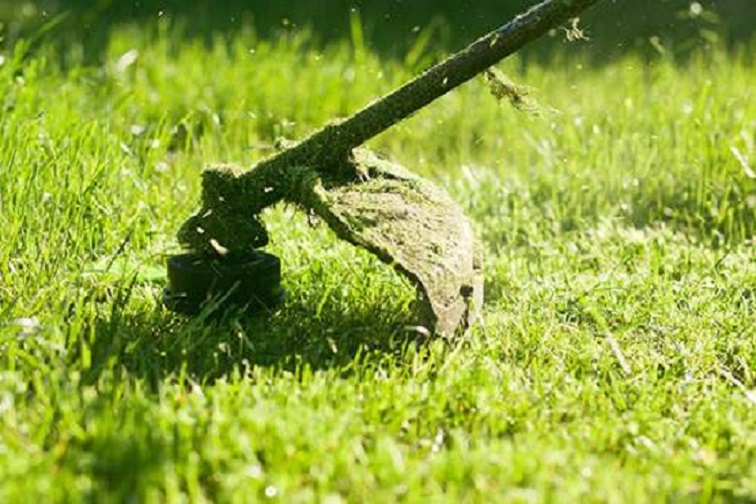 320.000 οι δηλώσεις καθαρισμών οικοπέδων σε 312 Δήμους